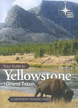 その他 Grand Teton &amp; Yellowstone [DVD] Grand Teton Yellowstone (DVD, 2003, 2-Disc Set) for sale